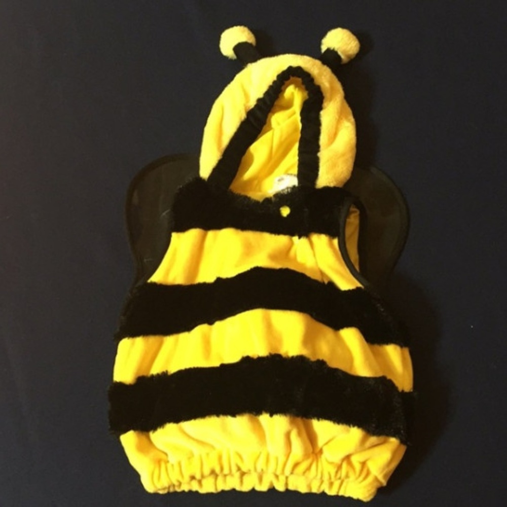Bumblebee Costume